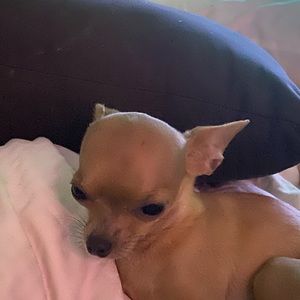 Meet your Posher, Charlene